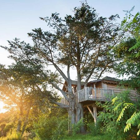 La Gree Des Landes - Eco-Hotel-Spa Yves Rocher Ла-Ґасійї Екстер'єр фото